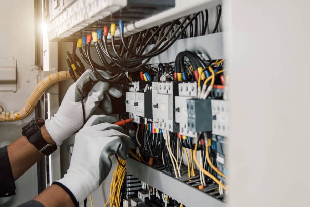 Best Electric Panel Repair  in Flemingsburg, KY